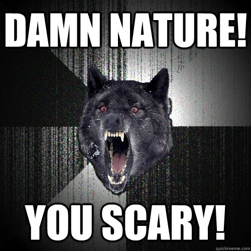 damn nature! you scary!  Insanity Wolf