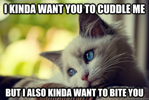 I kinda want you to cuddle me but i also kinda want to bite you  First World Problems Cat