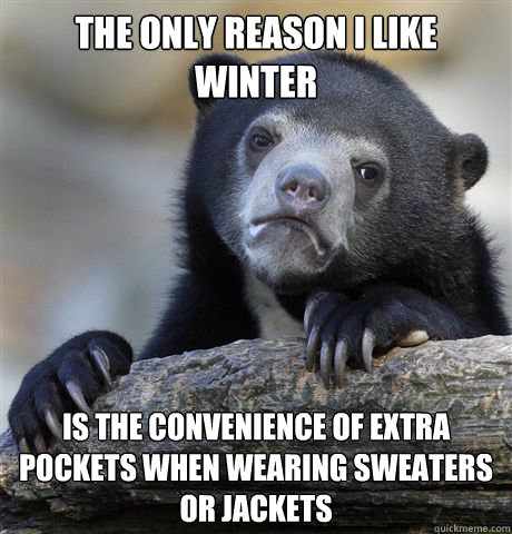 The only reason I like winter is the convenience of extra pockets when wearing sweaters or jackets  Confession Bear