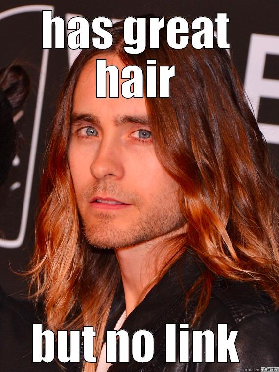 HAS GREAT HAIR BUT NO LINK Misc