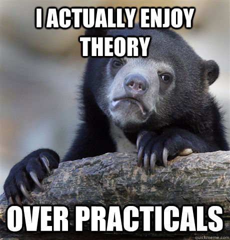 I actually enjoy theory over practicals  Confession Bear