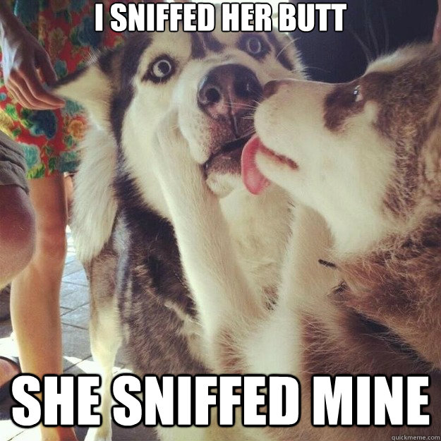 I sniffed her butt She sniffed mine  Relationship Dog