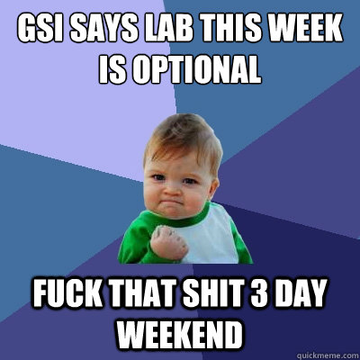 GSI says lab this week is optional fuck that shit 3 day weekend  Success Kid