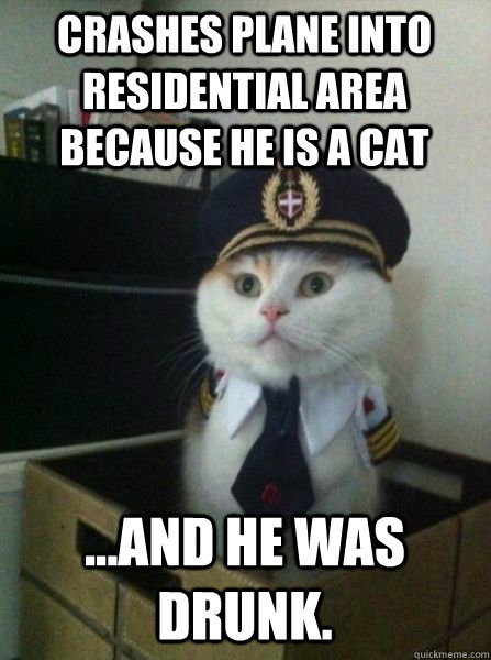crashes plane into residential area because he is a cat ...and he was drunk.  Captain kitteh