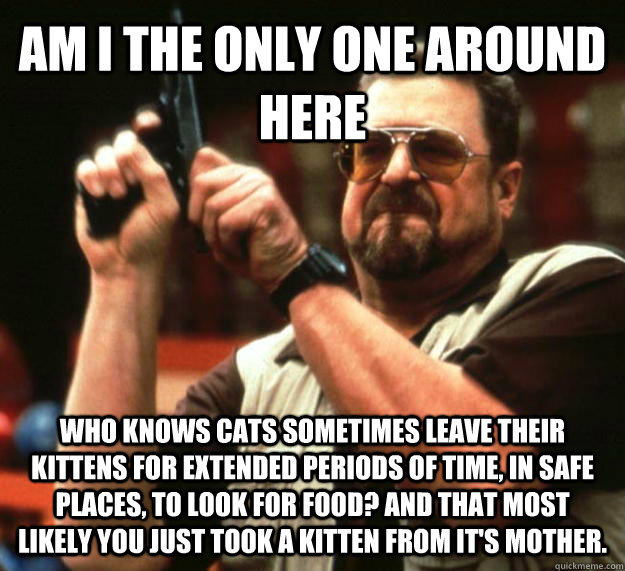 AM I THE ONLY ONE AROUND HERE who knows cats sometimes leave their kittens for extended periods of time, in safe places, to look for food? And that most likely you just took a kitten from it's mother.  Angry Walter