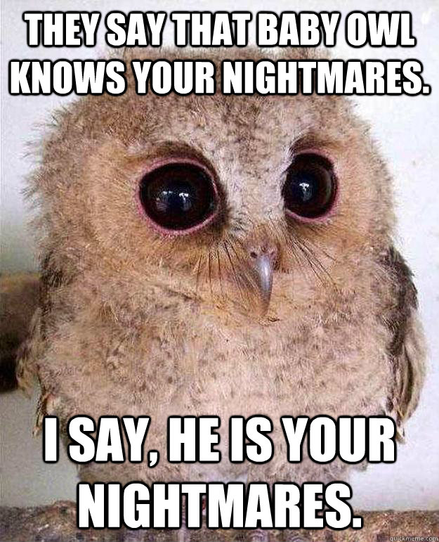 They say that Baby Owl knows your nightmares. I say, he is your nightmares. - They say that Baby Owl knows your nightmares. I say, he is your nightmares.  Baby Owl Nightmare