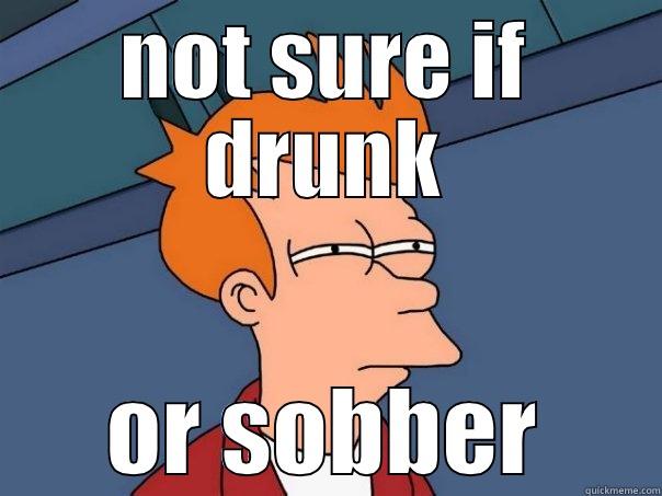 NOT SURE IF DRUNK OR SOBBER Futurama Fry