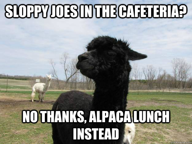 Sloppy Joes in the cafeteria? No thanks, Alpaca lunch instead - Sloppy Joes in the cafeteria? No thanks, Alpaca lunch instead  Picky Alpaca