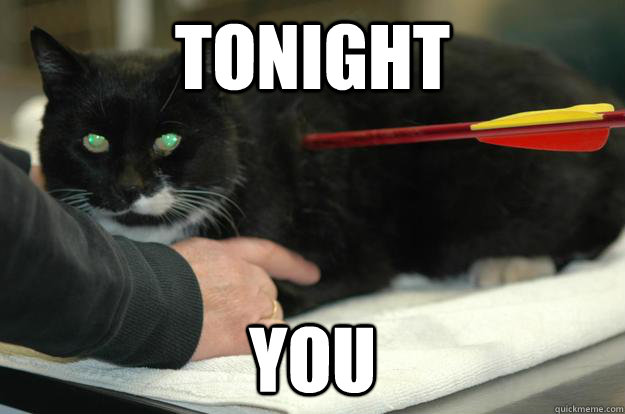 tonight you - tonight you  Worlds Toughest Cat