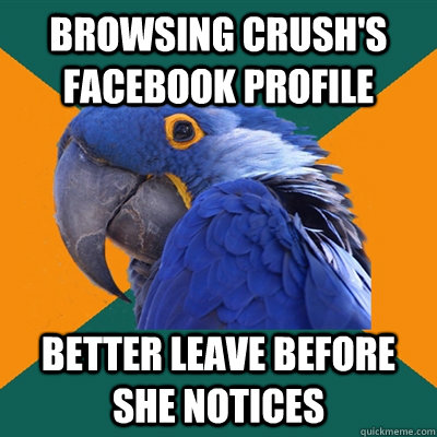 browsing crush's facebook profile better leave before she notices  Paranoid Parrot