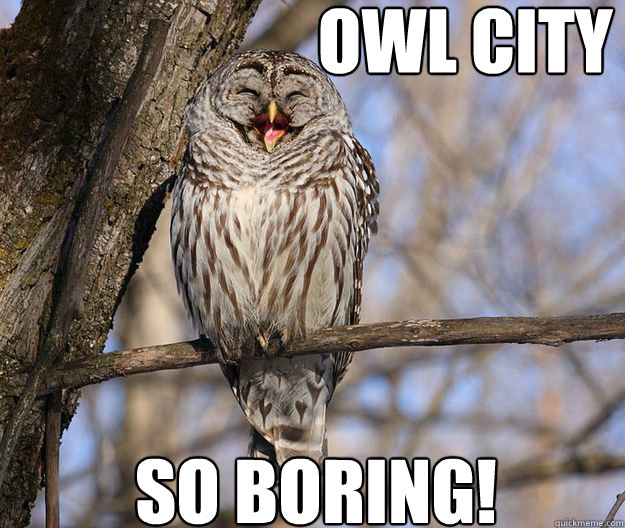 OWL CITY So BORING!  Owl City