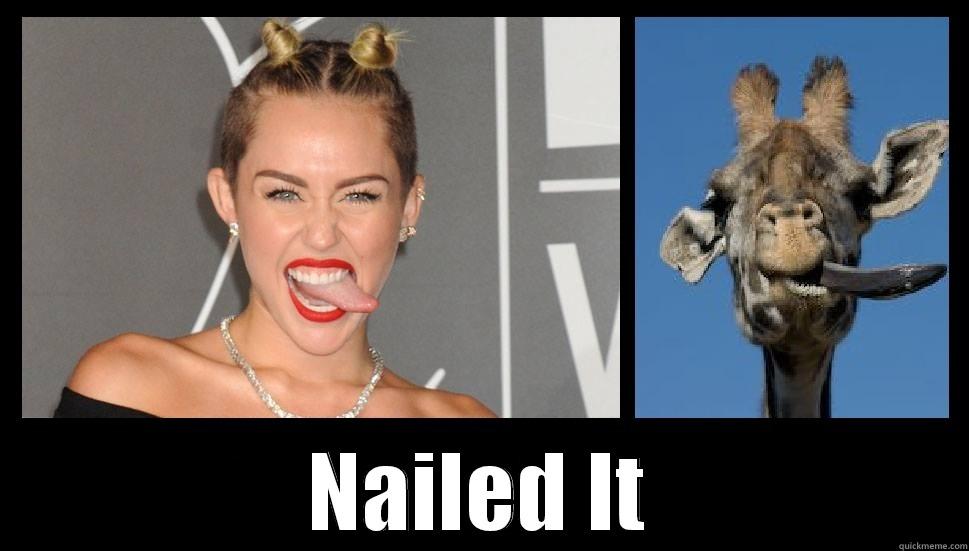  NAILED IT Misc