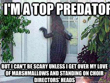 i'm a top predator but i can't be scary unless i get over my love of marshmallows and standing on choir directors' heads - i'm a top predator but i can't be scary unless i get over my love of marshmallows and standing on choir directors' heads  Alligator