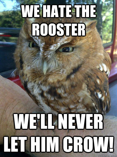 We hate the Rooster We'll never let him crow! - We hate the Rooster We'll never let him crow!  evilOwl