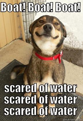 BOAT! BOAT! BOAT!  SCARED OF WATER SCARED OF WATER SCARED OF WATER Good Dog Greg
