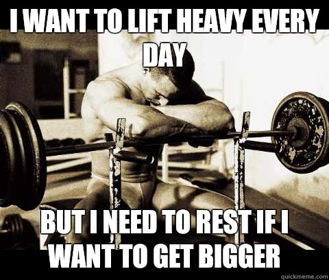I want to lift heavy every day But I need to rest if I want to get bigger - I want to lift heavy every day But I need to rest if I want to get bigger  Bodybuilder Problems