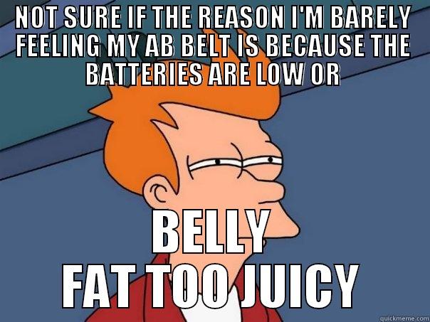 NOT SURE IF THE REASON I'M BARELY FEELING MY AB BELT IS BECAUSE THE BATTERIES ARE LOW OR BELLY FAT TOO JUICY Futurama Fry