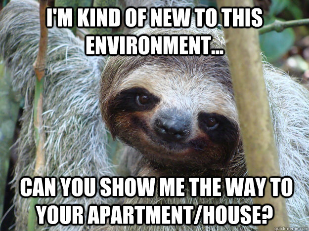 I'm kind of new to this environment...  can you show me the way to your apartment/house? - I'm kind of new to this environment...  can you show me the way to your apartment/house?  Pickup-Line-Sloth