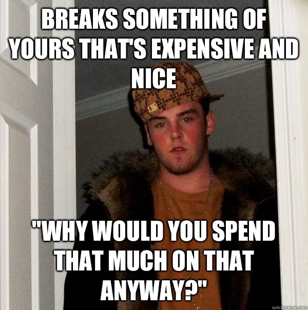Breaks something of yours that's expensive and nice 