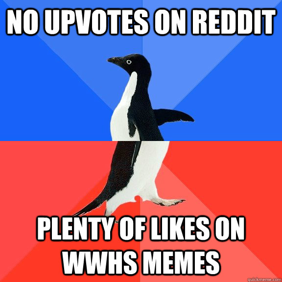 no upvotes on reddit plenty of likes on wwhs memes  Socially Awkward Awesome Penguin
