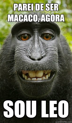 parei de ser macaco, agora sou Leo  Mindful Macaque