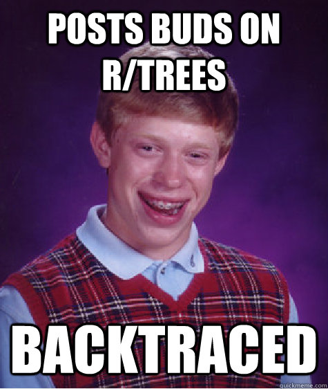 posts buds on r/trees backtraced  Bad Luck Brian
