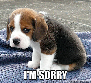  i'm sorry -  i'm sorry  So Sad Puppy