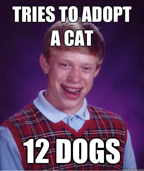 Tries to adopt 
a cat 12 dogs  Badluckbrian