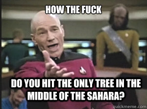 how the fuck do you hit the only tree in the middle of the sahara? - how the fuck do you hit the only tree in the middle of the sahara?  Annoyed Picard