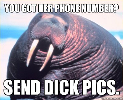 You got her phone number? Send Dick Pics.  