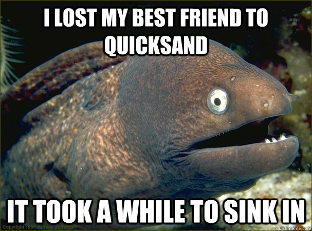I lost my best friend to quicksand it took a while to sink in  Bad Joke Eel