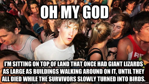 oh my god I'm sitting on top of land that once had giant lizards as large as buildings walking around on it, until they all died while the survivors slowly turned into birds.  Sudden Clarity Clarence