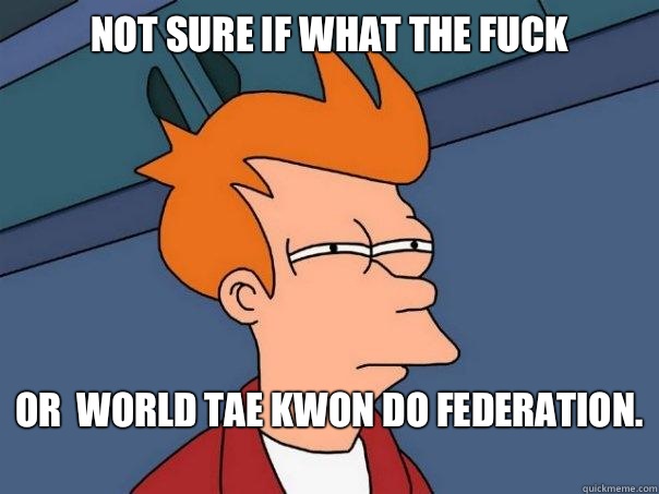 Not sure if what the fuck or  world tae kwon do federation.   Futurama Fry