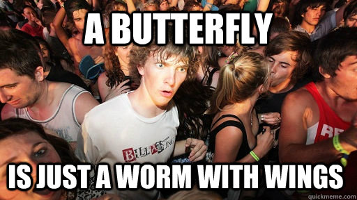 a butterfly is just a worm with wings  Sudden Clarity Clarence