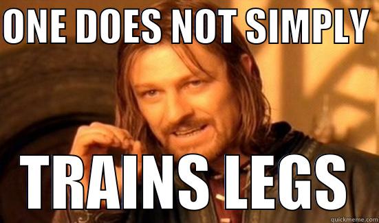 ONE DOES NOT SIMPLY  TRAINS LEGS Boromir