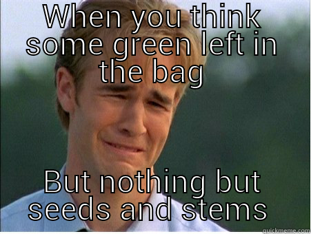 WHEN YOU THINK SOME GREEN LEFT IN THE BAG BUT NOTHING BUT SEEDS AND STEMS  1990s Problems