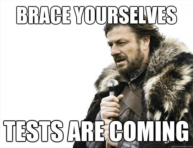 Brace yourselves Tests are coming  Brace Yourselves - Borimir