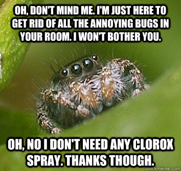 Oh, don't mind me. I'm just here to get rid of all the annoying bugs in your room. I won't bother you.  Oh, no I don't need any clorox spray. Thanks though.   Misunderstood Spider