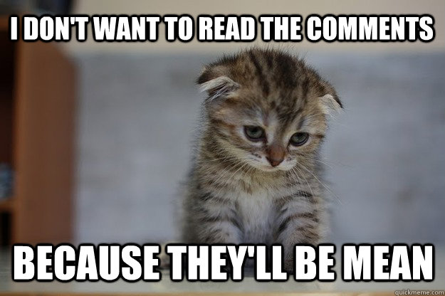 I don't want to read the comments because they'll be mean  Sad Kitten