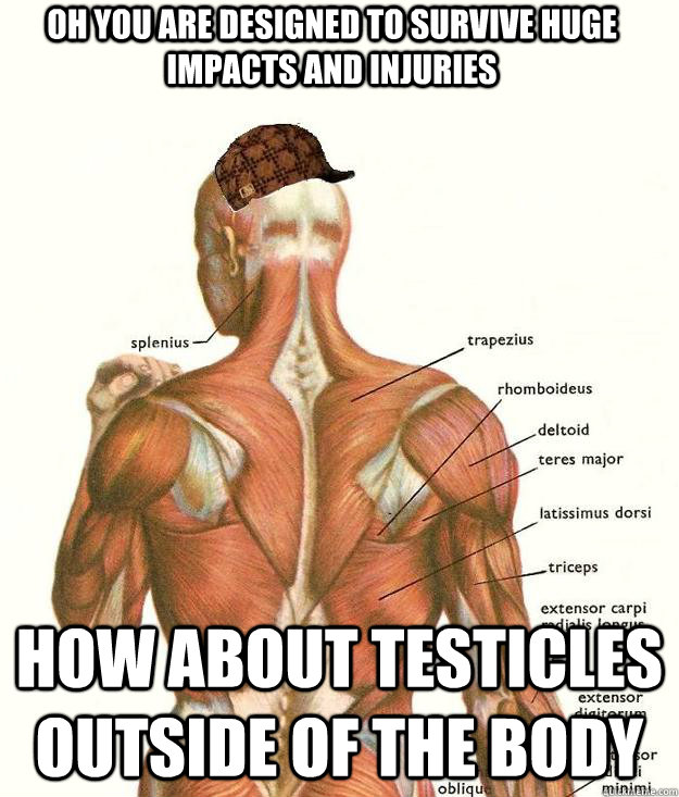 Oh you are designed to survive huge impacts and injuries How about testicles outside of the body - Oh you are designed to survive huge impacts and injuries How about testicles outside of the body  Scumbag body