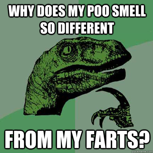 Why does my poo smell so different from my farts?  Philosoraptor