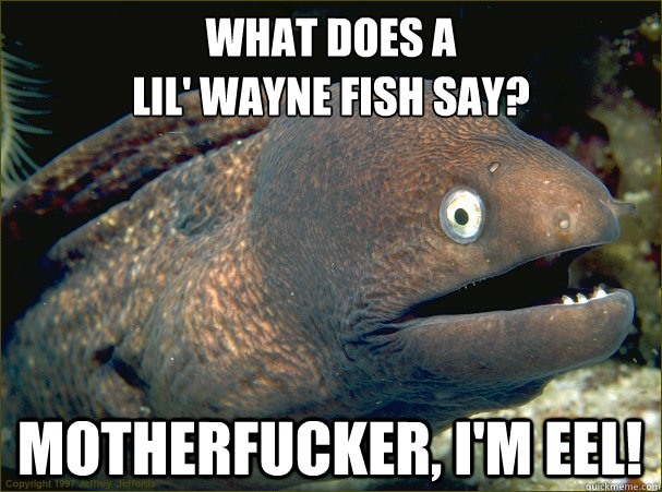 what does a
lil' wayne fish say? motherfucker, i'm eel!  Bad Joke Eel