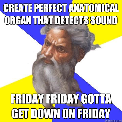 create perfect anatomical organ that detects sound FRIDAY FRIDAY GOTTA GET DOWN ON FRIDAY  Advice God
