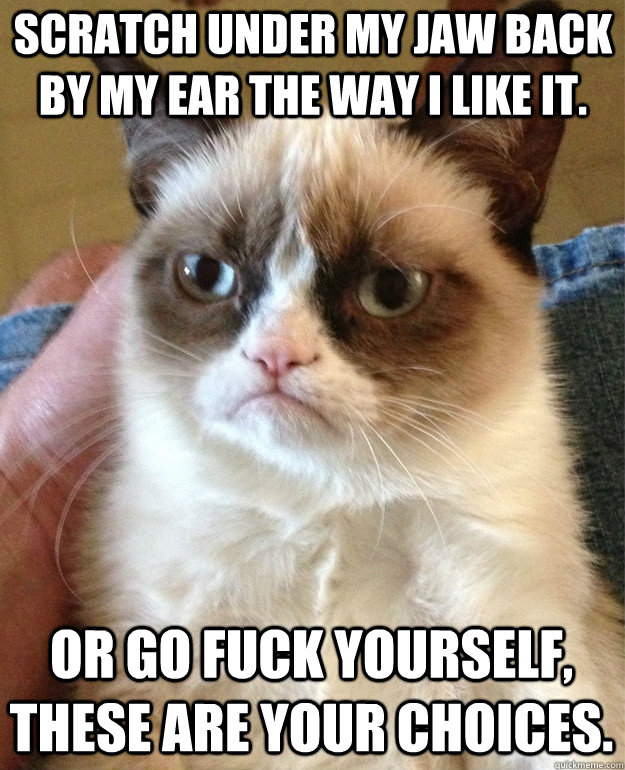 scratch under my jaw back by my ear the way i like it. or go fuck yourself, these are your choices.  Grumpy Cat
