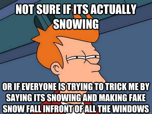 not sure if its actually snowing OR if everyone is trying to trick me by saying its snowing and making fake snow fall infront of all the windows  Futurama Fry
