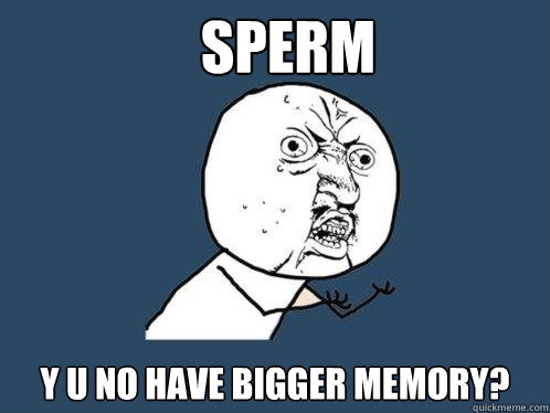 sperm y u no have bigger memory?  Y U No