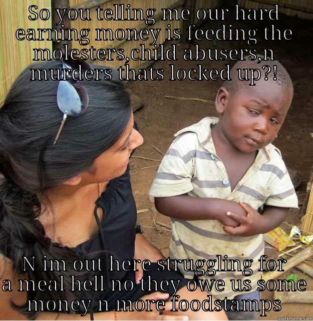 SO YOU TELLING ME OUR HARD EARNING MONEY IS FEEDING THE MOLESTERS,CHILD ABUSERS,N MURDERS THATS LOCKED UP?! N IM OUT HERE STRUGGLING FOR A MEAL HELL NO THEY OWE US SOME MONEY N MORE FOODSTAMPS Skeptical Third World Kid