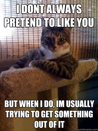 i dont always pretend to like you but when i do, im usually trying to get something out of it  The Most Interesting Cat in the World
