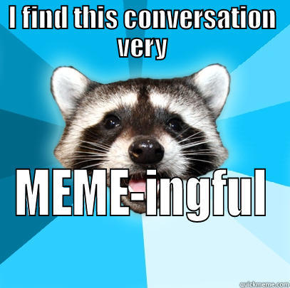 I FIND THIS CONVERSATION VERY MEME-INGFUL Lame Pun Coon
