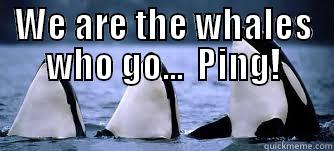 Flight MH370 search party beware - WE ARE THE WHALES WHO GO...  PING!  Misc